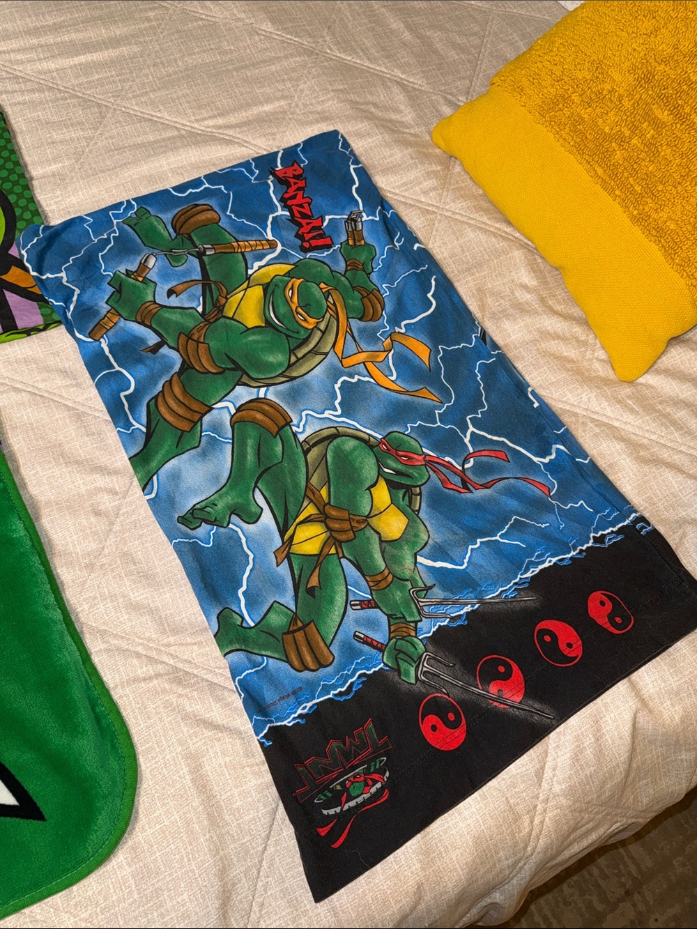 Teenage Mutant Ninja Turtles Green Plush Throw Blanket - Nick